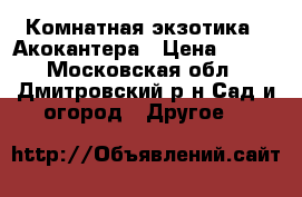 Комнатная экзотика - Акокантера › Цена ­ 500 - Московская обл., Дмитровский р-н Сад и огород » Другое   